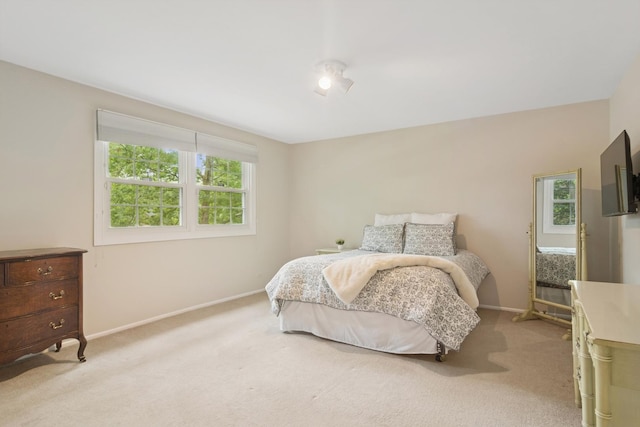 870 Georgetowne Ln, Barrington, IL 60010 - bedroom with multiple windows and light colored carpet
