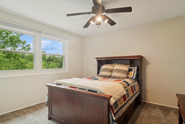 870 Georgetowne Ln, Barrington, IL 60010 - bedroom with carpet floors and ceiling fan