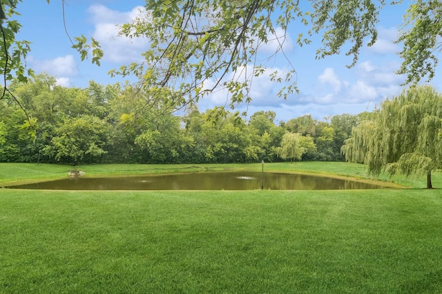 870 Georgetowne Ln, Barrington, IL 60010 - surrounding community featuring a water view and a yard