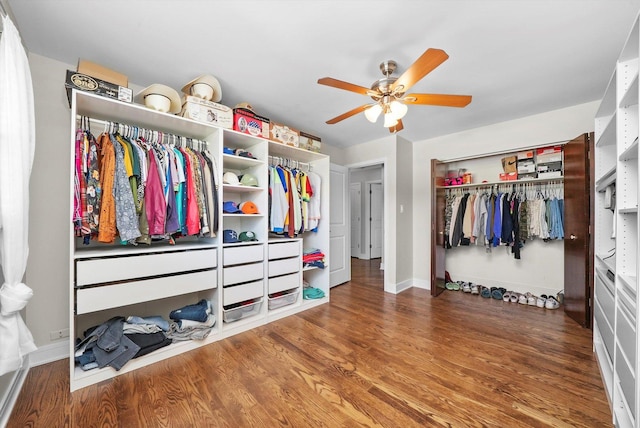 14424 S Pheasant Ln, Homer Glen, IL 60491 - walk in closet with ceiling fan and wood finished floors