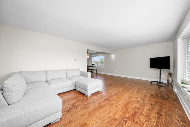 14424 S Pheasant Ln, Homer Glen, IL 60491 - living room featuring wood finished floors and baseboards