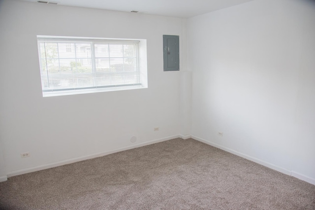 895 Clover Ln Unit 895, Pingree Grove, IL 60140 - carpeted empty room with electric panel and baseboards