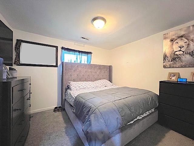 534 White Oak Rd, Bolingbrook, IL 60440 - view of carpeted bedroom