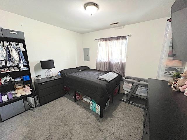 534 White Oak Rd, Bolingbrook, IL 60440 - bedroom featuring carpet flooring and electric panel