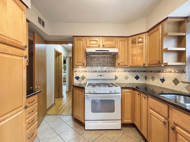 4841 N Natchez Ave, Chicago, IL 60656 - kitchen featuring gas range gas stove, under cabinet range hood, open shelves, and light tile patterned floors