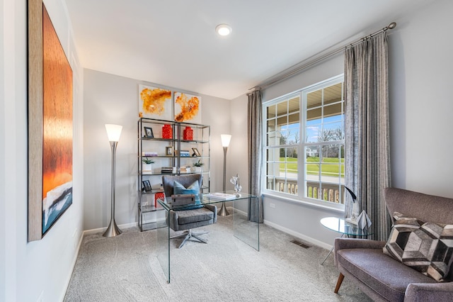 2893 Killarny Dr, Elgin, IL 60124 - office area with carpet floors and baseboards