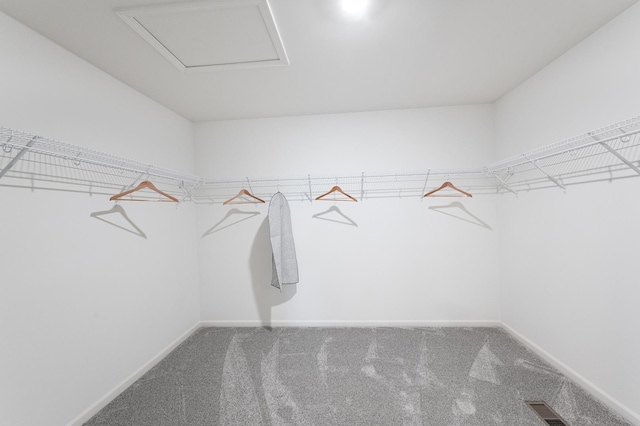 2893 Killarny Dr, Elgin, IL 60124 - walk in closet with carpet floors