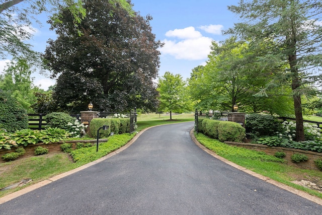 590 Merri Oaks Rd, Barrington Hills, IL 60010 - view of asphalt driveway