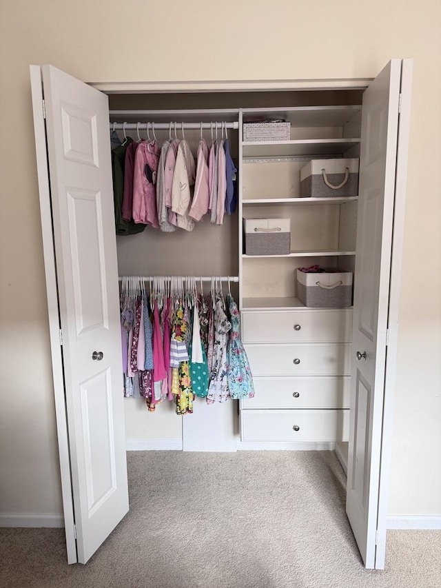 656 Pearson St Unit 512C, Des Plaines, IL 60016 - view of closet