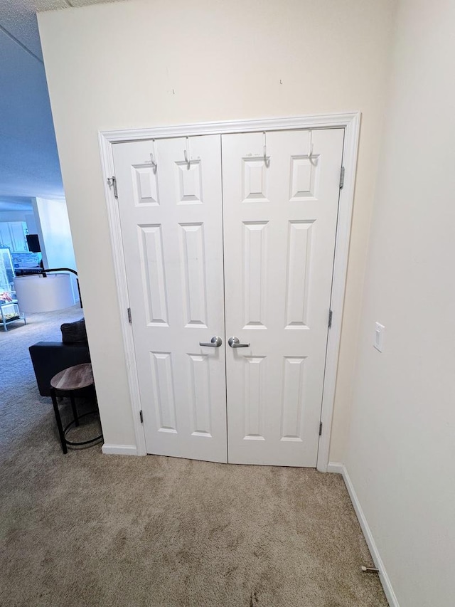 656 Pearson St Unit 512C, Des Plaines, IL 60016 - detailed view of carpet