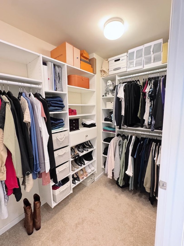 656 Pearson St Unit 512C, Des Plaines, IL 60016 - walk in closet with carpet