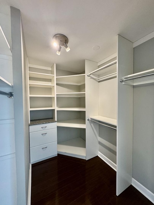 1850 N Clark St Unit 2406, Chicago, IL 60614 - walk in closet with dark wood-style floors