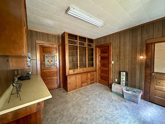 605 Washington St, Prophetstown, IL 61277 - unfurnished living room featuring wood walls and carpet flooring