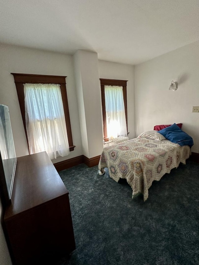 605 Washington St, Prophetstown, IL 61277 - bedroom with carpet and baseboards