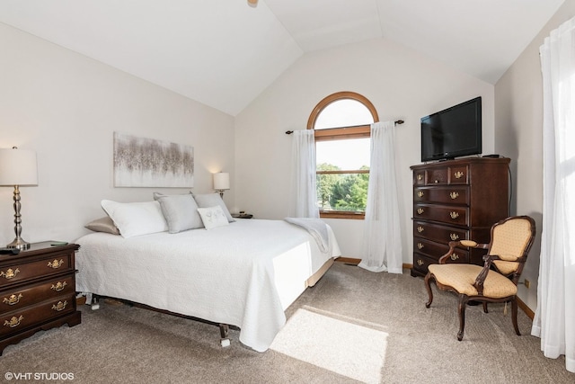 202 Woodboro Dr, West Chicago, IL 60185 - bedroom with vaulted ceiling and carpet floors
