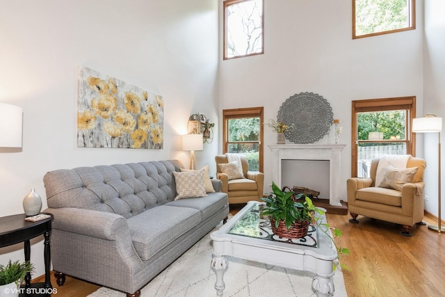 202 Woodboro Dr, West Chicago, IL 60185 - living area with a high ceiling, wood finished floors, and a fireplace