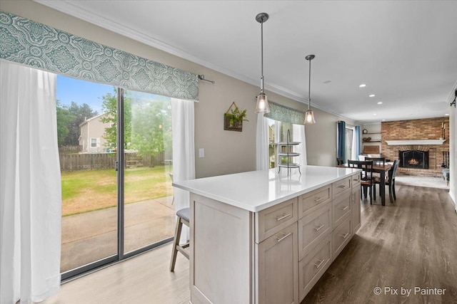 218 Foxmoor Rd, Fox River Grove, IL 60021 - kitchen with healthy amount of natural light, wood finished floors, ornamental molding, a kitchen island, and light countertops