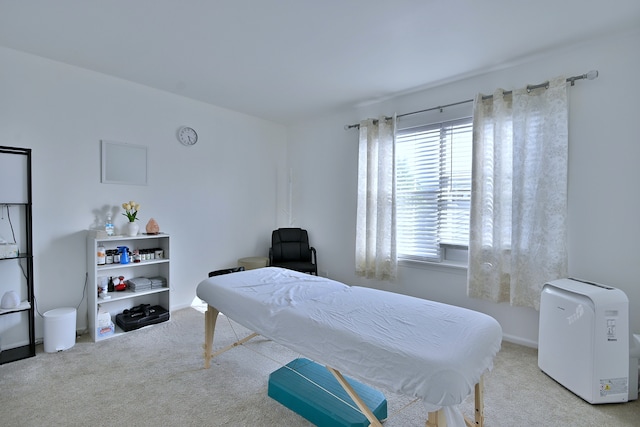 2020 Medinah Cir, Elgin, IL 60123 - view of carpeted bedroom