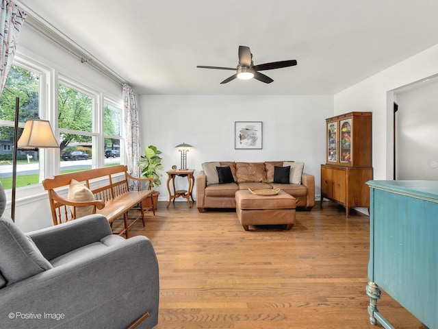 3916 N Adams St, Westmont, IL 60559 - living area featuring ceiling fan and light wood-style flooring