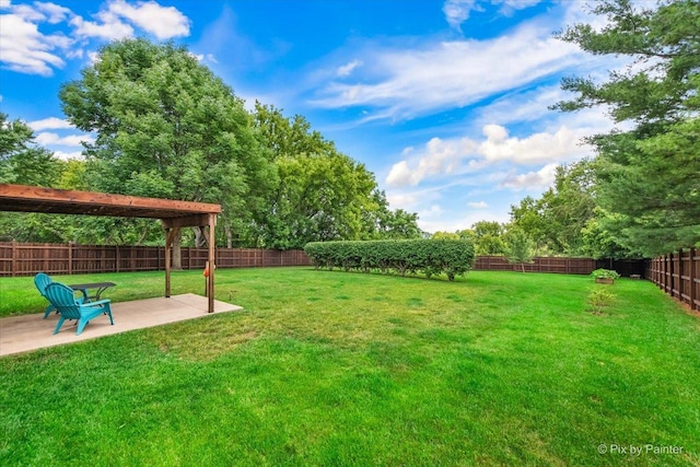 906 Ridgewood Dr, Cary, IL 60013 - fenced backyard featuring a patio area