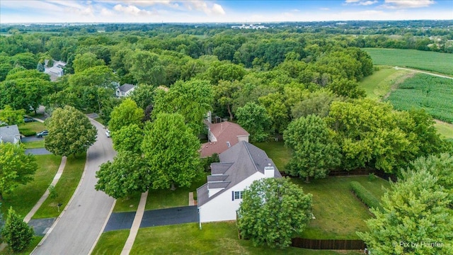 906 Ridgewood Dr, Cary, IL 60013 - aerial view of a forest
