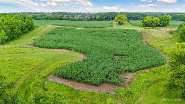 906 Ridgewood Dr, Cary, IL 60013 - view of rural area featuring rows of crops