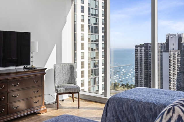 363 E Wacker Dr Unit 2503, Chicago, IL 60601 - bedroom featuring wood finished floors, multiple windows, a water view, and a view of city