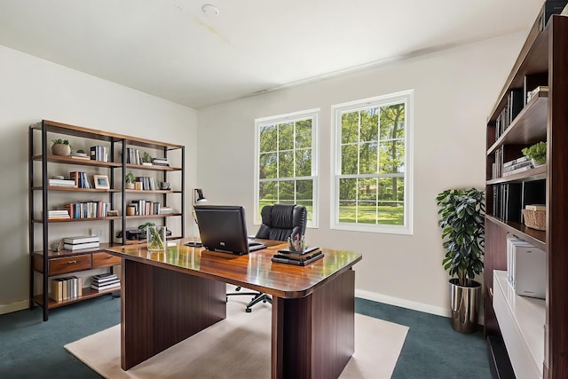 1285 Mallard Ln, Hoffman Estates, IL 60192 - office area featuring dark carpet and baseboards
