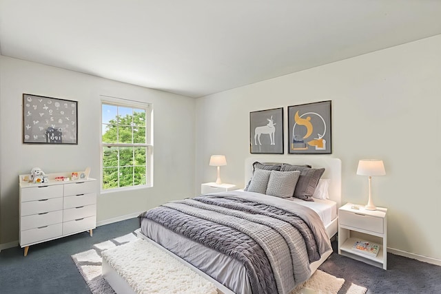 1285 Mallard Ln, Hoffman Estates, IL 60192 - bedroom with dark colored carpet
