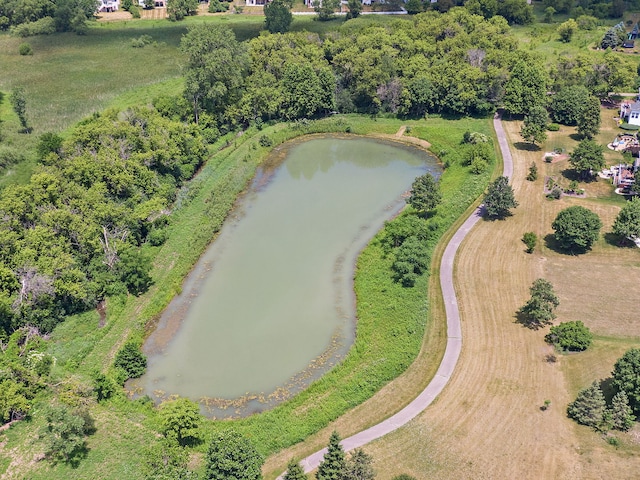 1285 Mallard Ln, Hoffman Estates, IL 60192 - aerial view of a nearby body of water