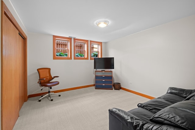 925 E 49th St, Chicago, IL 60615 - living room with baseboards and carpet