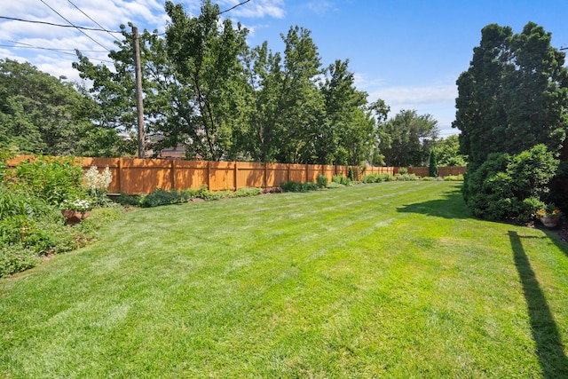 925 E 49th St, Chicago, IL 60615 - view of yard
