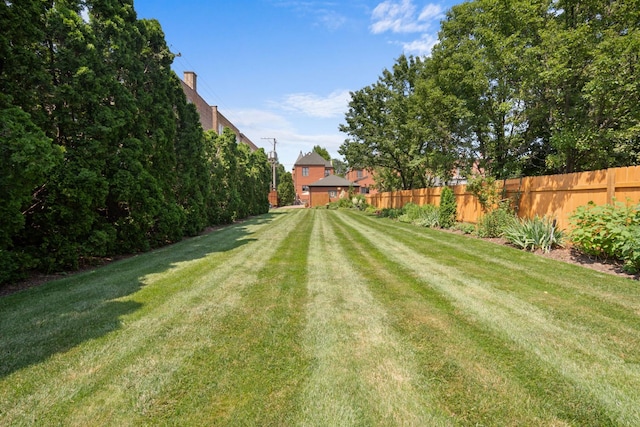 925 E 49th St, Chicago, IL 60615 - view of yard