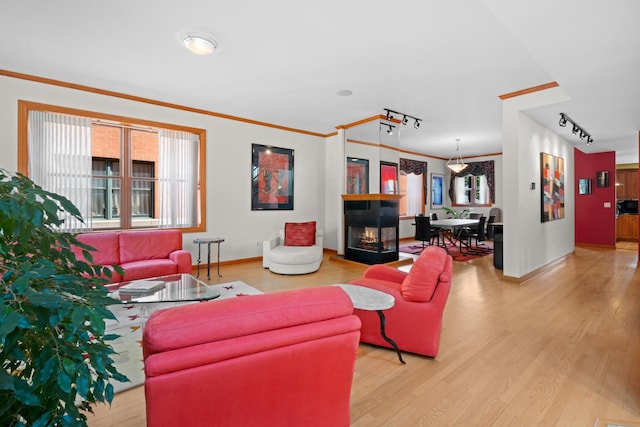 925 E 49th St, Chicago, IL 60615 - living room with rail lighting, healthy amount of natural light, light wood-style floors, crown molding, and a multi sided fireplace