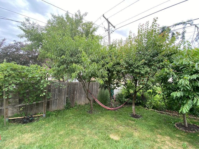 1601 Cherokee Dr, Round Lake Beach, IL 60073 - view of yard