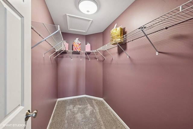 10589 153rd Pl, Orland Park, IL 60462 - walk in closet with carpet