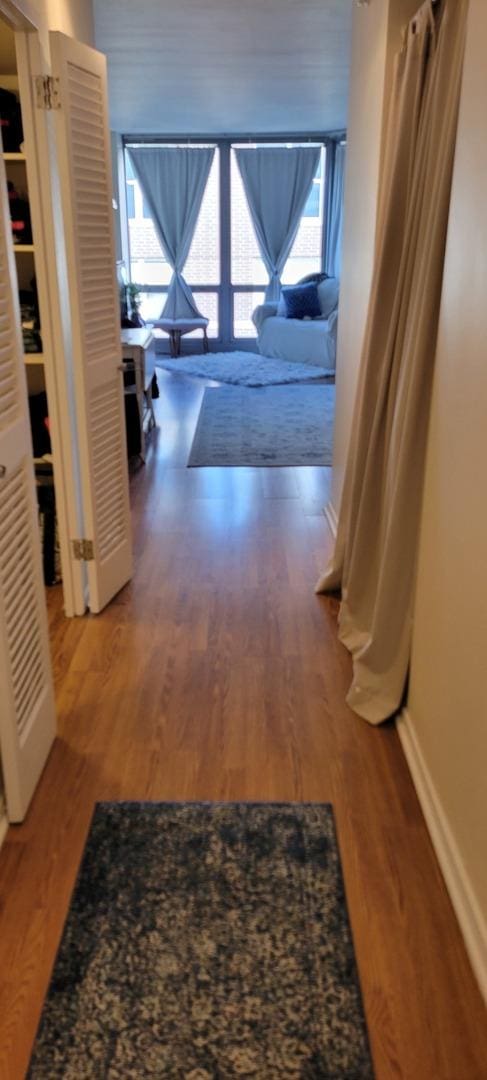 21 W Goethe St Unit 17C, Chicago, IL 60610 - hall with baseboards and wood finished floors