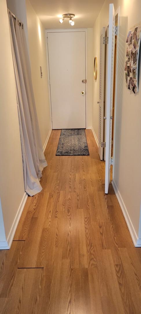 21 W Goethe St Unit 17C, Chicago, IL 60610 - hall featuring light wood finished floors and baseboards