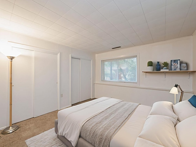 235 S Cedar St, Palatine, IL 60067 - bedroom featuring two closets and carpet