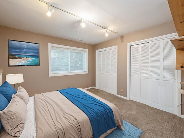 235 S Cedar St, Palatine, IL 60067 - carpeted bedroom featuring track lighting and two closets