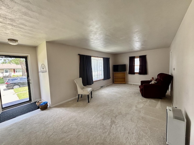 505 Highland St, Belvidere, IL 61008 - sitting room with carpet floors, heating unit, and a textured ceiling
