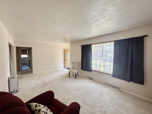 505 Highland St, Belvidere, IL 61008 - carpeted living room with baseboards