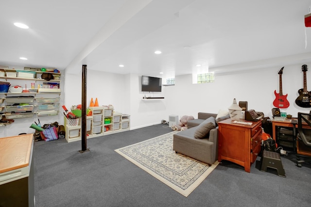 9146 S Hamilton Ave, Chicago, IL 60643 - basement featuring carpet and recessed lighting