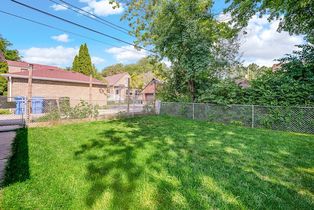 9146 S Hamilton Ave, Chicago, IL 60643 - view of yard