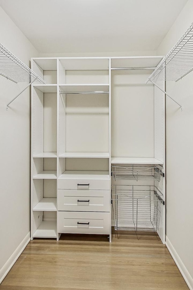 2024 E Wintergreen Ave, Mount Prospect, IL 60056 - walk in closet featuring light wood-style flooring