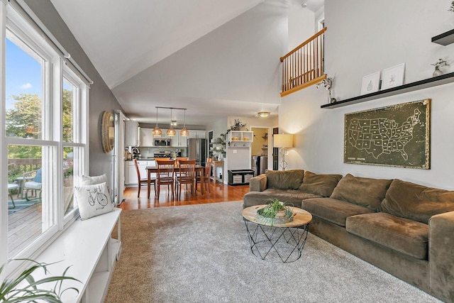 105 Devonshire Dr, Dekalb, IL 60115 - living room featuring high vaulted ceiling and wood finished floors