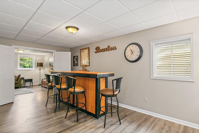 105 Devonshire Dr, Dekalb, IL 60115 - indoor dry bar with a paneled ceiling and wood finished floors