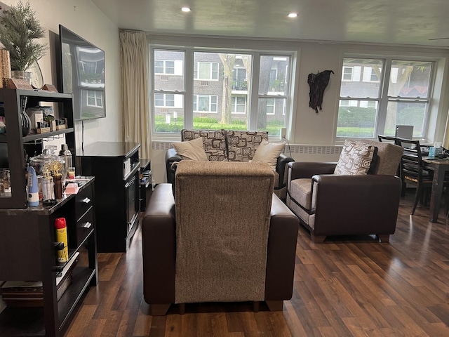 8710 Skokie Blvd Unit 1A, Skokie, IL 60077 - living area featuring dark wood-style floors and recessed lighting