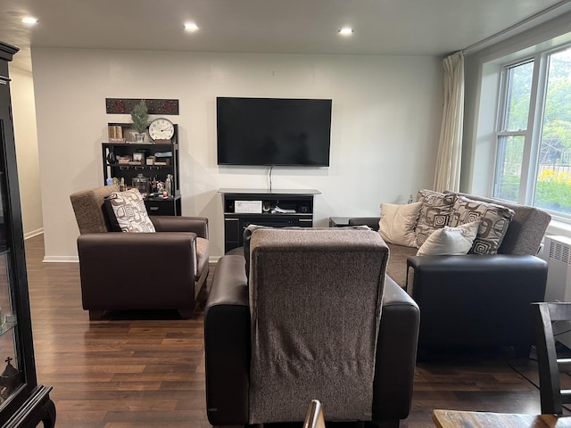 8710 Skokie Blvd Unit 1A, Skokie, IL 60077 - living area featuring dark wood finished floors, recessed lighting, and radiator heating unit