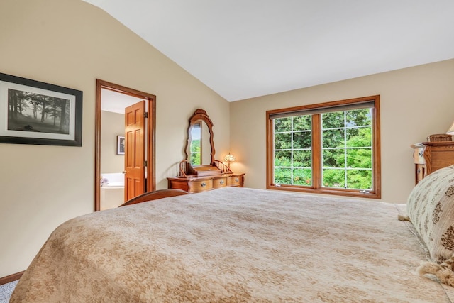 330 Dorchester Ln, Grayslake, IL 60030 - bedroom with lofted ceiling, ensuite bathroom, and carpet flooring